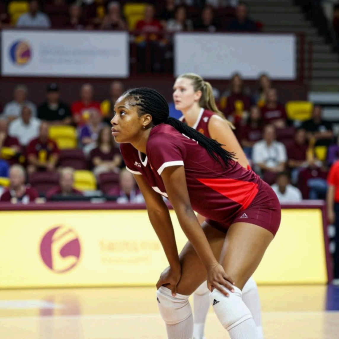 Vietnam Women's Volleyball: The Decline Is Written in the Availability Ledger, Not the Talent Ledger Vietnam Women's Volleyball: The Decline Is Written in the Availability Ledger, Not the Talent Ledger