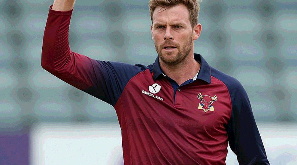 Numbers on the Field, Chains of Trust: New Questions on Cricket's Information Integrity